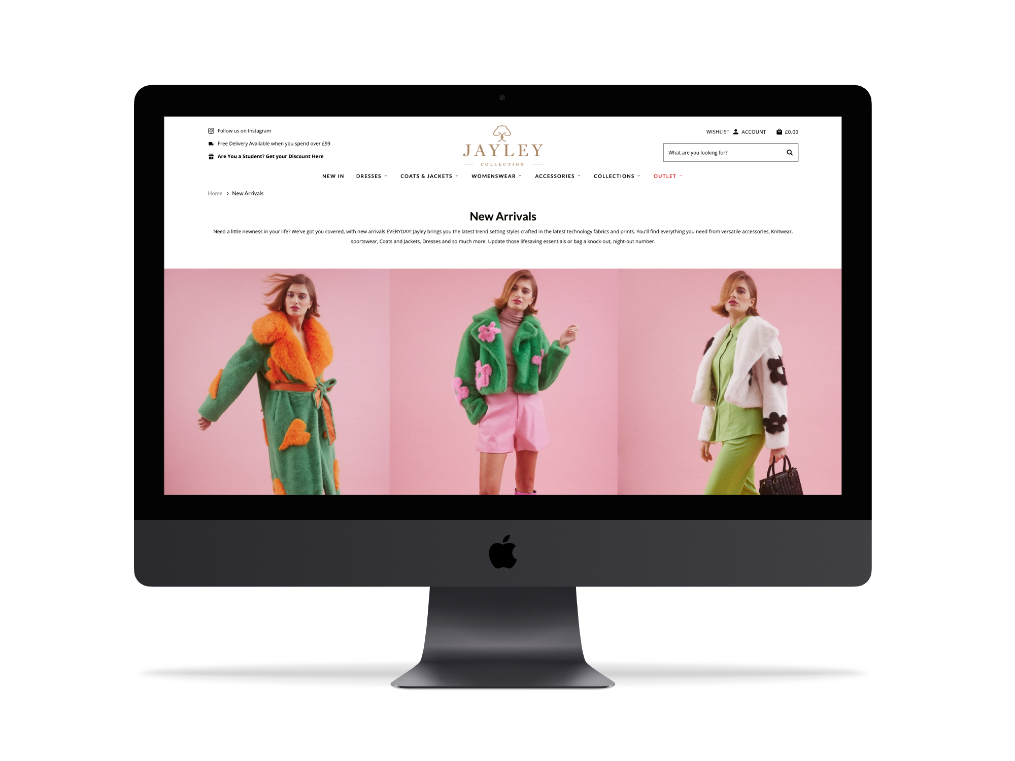 Computer screen with Jayley's website